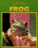 Caring for Your Frog