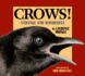 Crows! : Strange and Wonderful