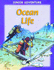 Ocean Life (Junior Adventures)