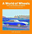 Cars of the Seventies and Eighties (a World of Wheels Series)