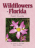 Wildflowers of Florida Field Guide Wildflower Identification Guides