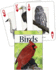 Birds of the Midwest Playing Cards Format: Card Deck