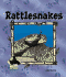 Rattlesnakes (Animal Kingdom Set II)