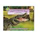 Alligator at Saw Grass Road-a Smithsonian's Backyard Book (Mini Book) (Smithsonian Backyard)
