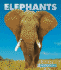 Elephants (the Wildlife Library)