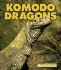 Komodo Dragons