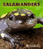 Salamanders (New Naturebooks)