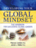 Developing Your Global Mindset: the Handbook for Successful Global Leaders