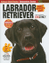 Labrador Retriever (Companionhouse Books) Breed Characteristics, History, Expert Advice, and Tips on Adopting, Training, Solving Bad Behavior, Feeding, Exercising, and Caring for Your New Best Friend