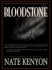 Bloodstone (Five Star) (Five Star Science Fiction/Fantasy)