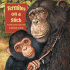 Termites on a Stick: a Chimp Learns to Use a Tool