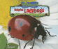 Helpful Ladybugs (No Backbone! Insects)