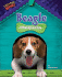 Beagle: a Howling Good Time