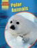 Polar Animals (Saving Wildlife)
