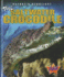 The Saltwater Crocodile (Pilot Books: Nature's Deadliest)