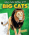 Big Cats (You Can Draw It! )