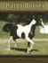 Paint Horses (Eye to Eye With Horses)
