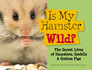 Is My Hamster Wild? : the Secret Lives of Hamsters, Gerbils & Guinea Pigs