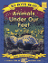 Animals Under Our Feet (We Both Read-Level 1 (Quality))