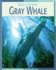 Gray Whale (Road to Recovery (Library))
