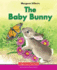 The Baby Bunny (Beginning-to-Read)