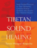 Tibetan Sound Healing: Seven Guided Practices to Clear Obstacles, Cultivate Positive Qualities, and Uncover Your Inherent Wisdom [With Cd (Audio)]