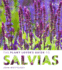 The Plant Lover's Guide to Salvias (the Plant Lover's Guides)