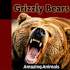 Grizzly Bears (Amazing Animals)