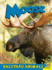 Moose (Backyard Animals)