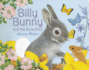 Billy Bunny and the Butterflies (Friendship Tales)