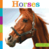 Horses (Seedlings)