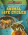 Secrets of Animal Life Cycles: 1 (Science Secrets)