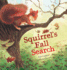 Squirrel's Fall Search (Animal Seasons)
