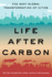 Life After Carbon