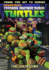 Teenage Mutant Ninja Turtles Animated 3: the Showdown