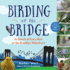 Birding at the Bridge: in Search of Every Bird on the Brooklyn Waterfront