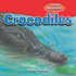 Crocodiles (10 Things You Should Know About)