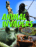 Rourke Educational Media Animal Invaders (Let's Explore Science)