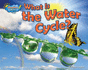 What is the Water Cycle?