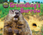 Groundhog's Burrow (Hole Truth! Underground Animal Life)