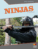 Ninjas (Great Warriors)