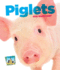 Piglets (Baby Animals)