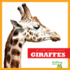 Giraffes Stretch (Amicus Ink Boardbooks)