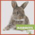 Rabbits (My First Pet)