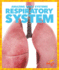 Respiratory System (Pogo Books: Amazing Body Systems)