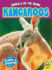 Kangaroos (Animals on the Brink)