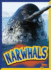 Narwhals (Curious Creatures)