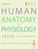 Making Sense of Human Anatomy and Physiology: a Learner-Friendly Approach