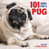 101 Uses for a Pug