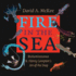 Fire in the Sea Bioluminescence and Henry Compton's Art of the Deep